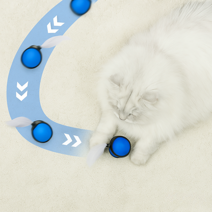 SPEEDY TAIL 2.0